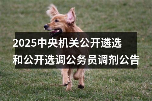 2025中央机关公开遴选和公开选调公务员调剂公告 图片